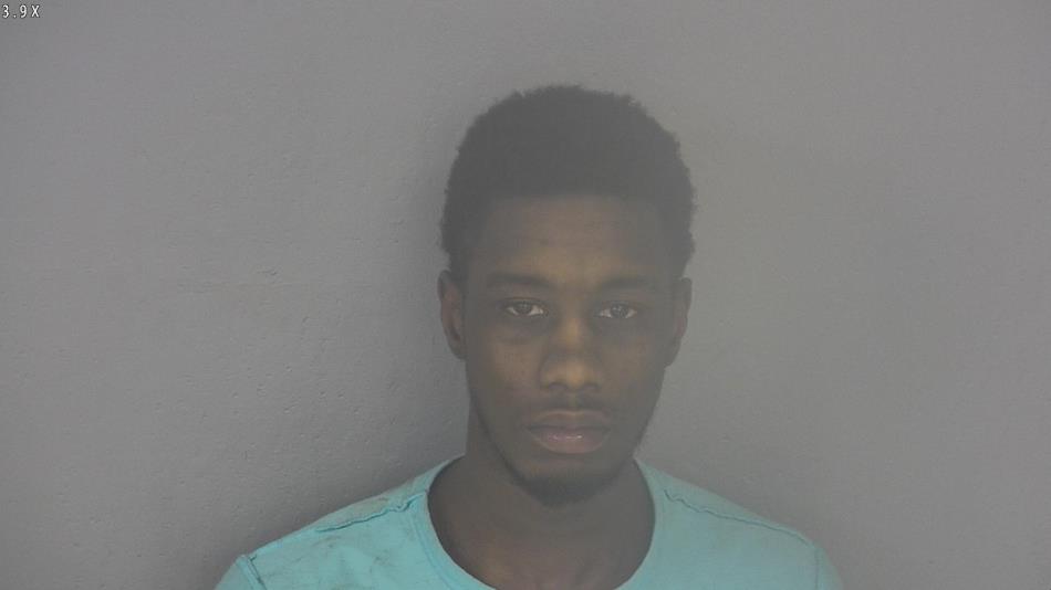 Arrest photo of D'ANDRE TERRY