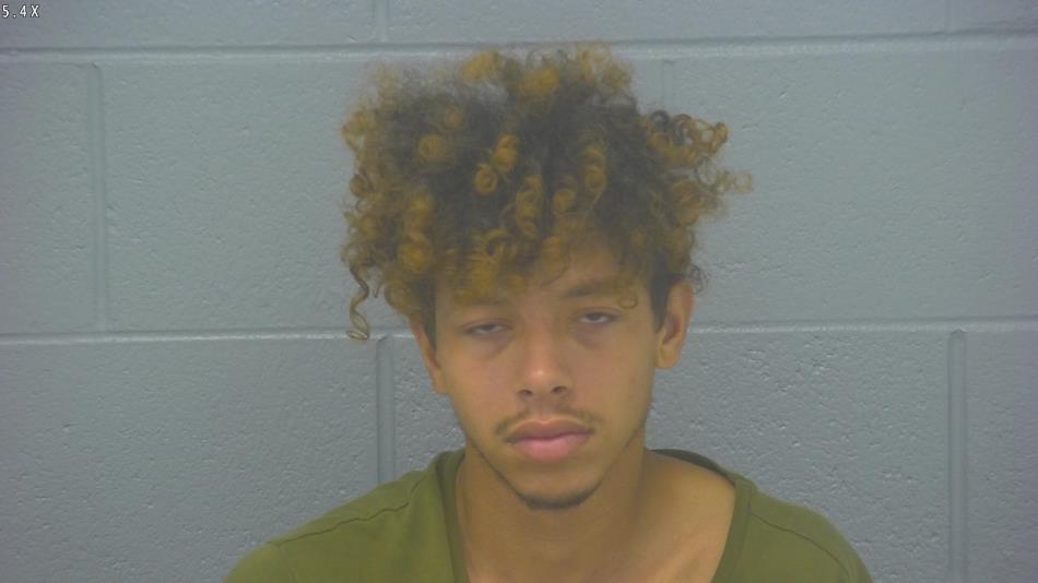 Arrest photo of DAEVIANT'E SWEARINGEN SING