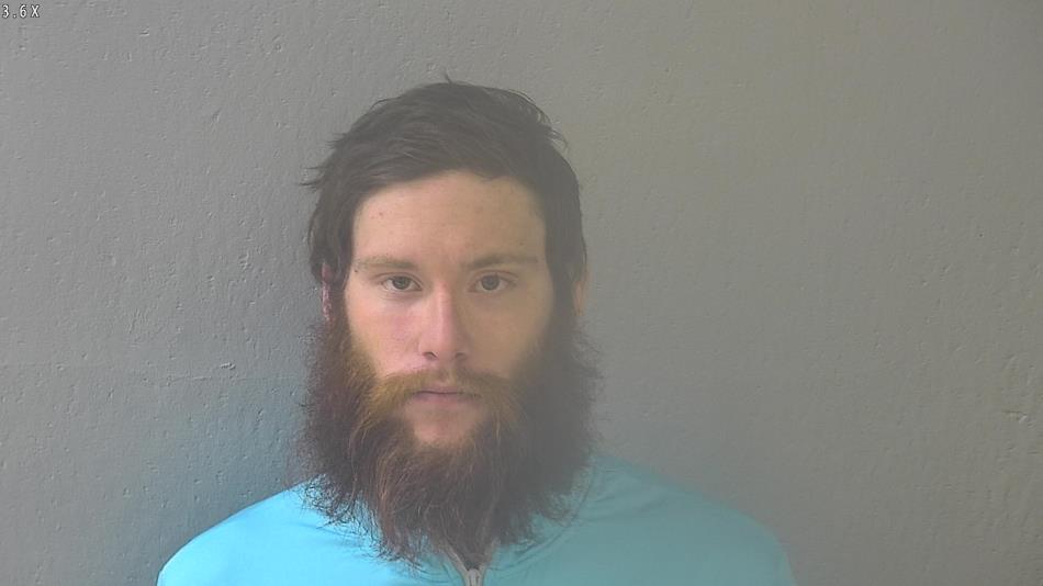 Arrest photo of DAKODA CARLTON