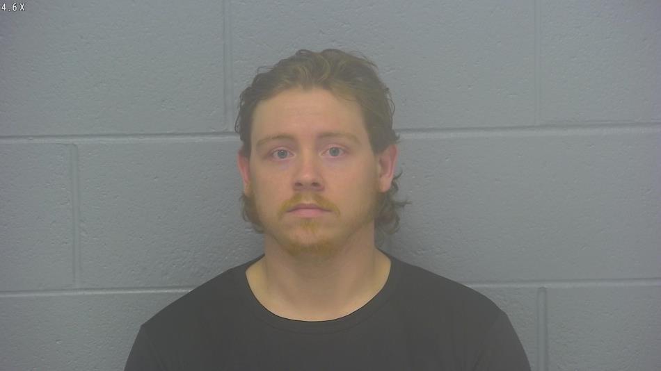 Arrest photo of DAKOTA ROBERTS