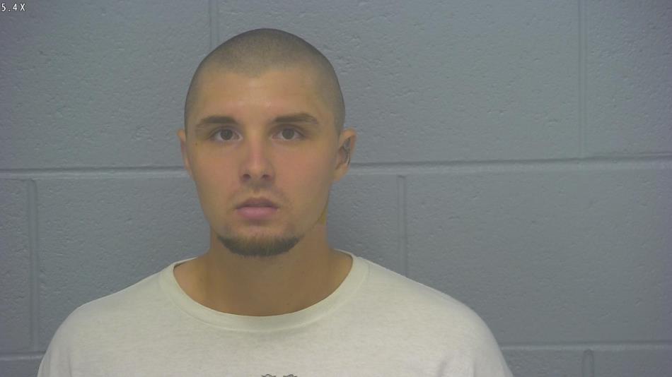 Arrest photo of DAKOTA WOODWARD