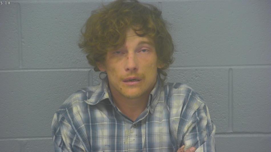 Arrest photo of DAKOTA WALSWORTH