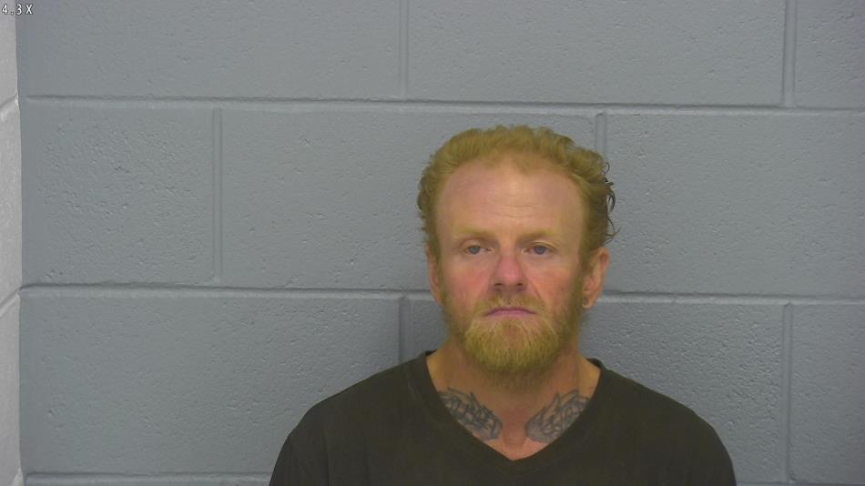 Arrest photo of DALE PERRY