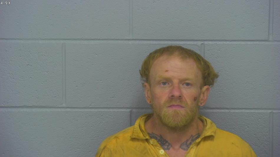 Arrest photo of DALE PERRY