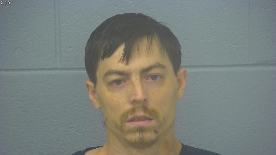 Arrest photo of DALLAS MORGAN