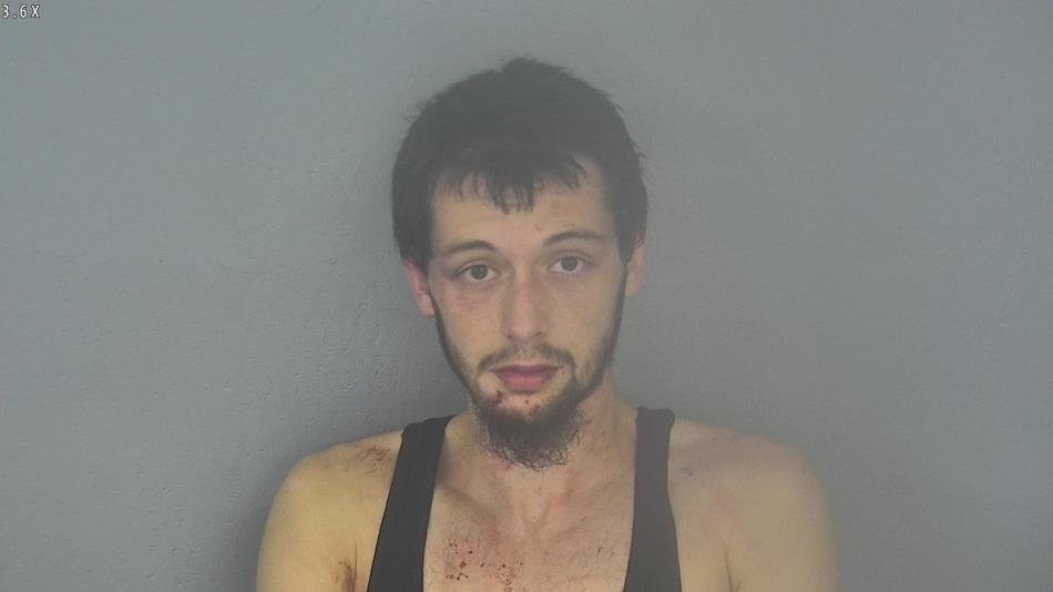 Arrest photo of DALTON LAWRENCE