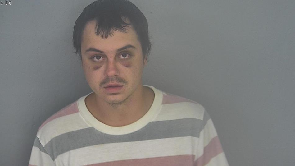Arrest photo of DALTON SYERS