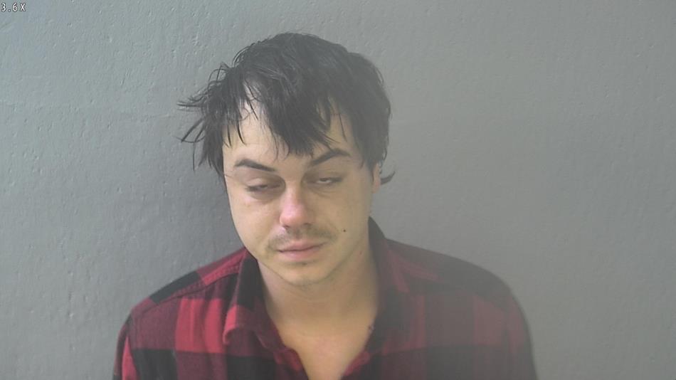 Arrest photo of DALTON SYERS