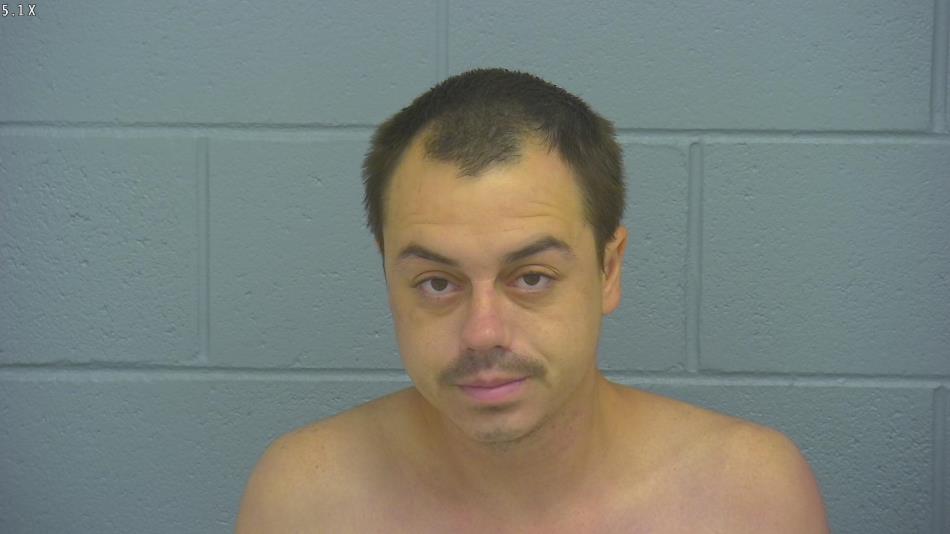 Arrest photo of DALTON SYERS