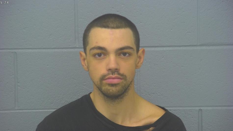 Arrest photo of DALTON MCNARY