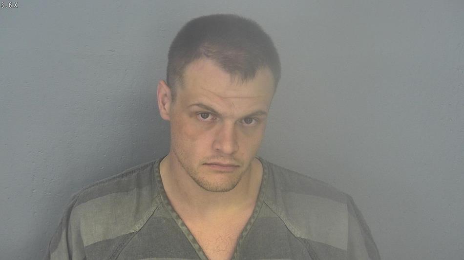 Arrest photo of DALTON BREKKEN