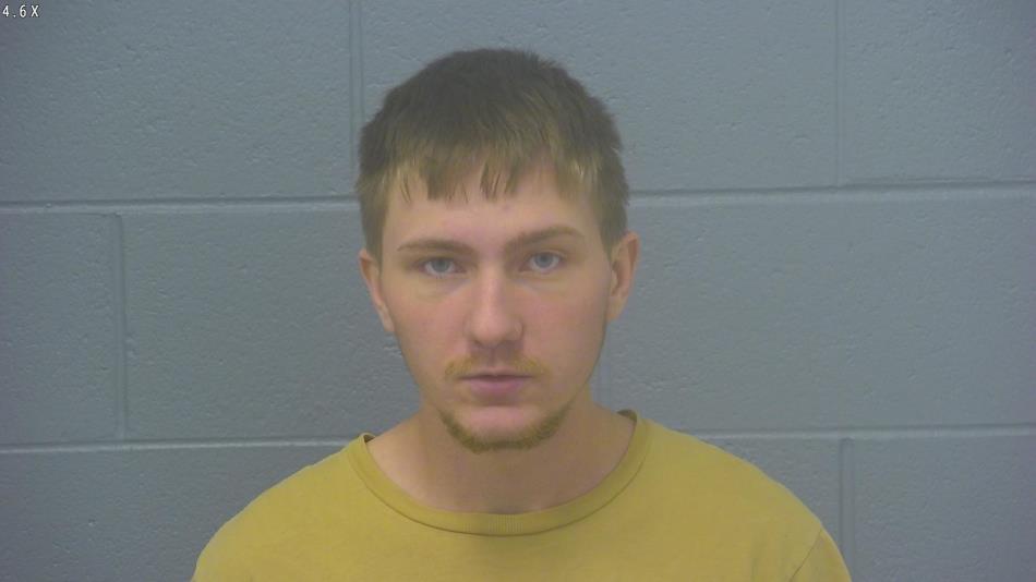 Arrest photo of DALTON WALLACE