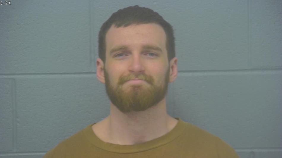 Arrest photo of DALTON ERVIN