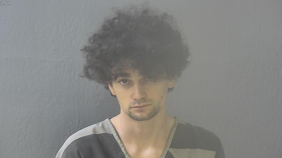 Arrest photo of DALTYN SALLEE-WILLIAMS