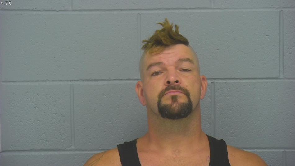 Arrest photo of DANA HOWARD