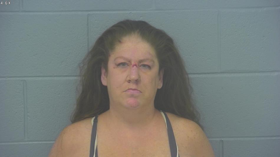 Arrest photo of DANA ANDERSON