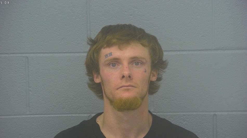 Arrest photo of DANIAL FITZGERALD