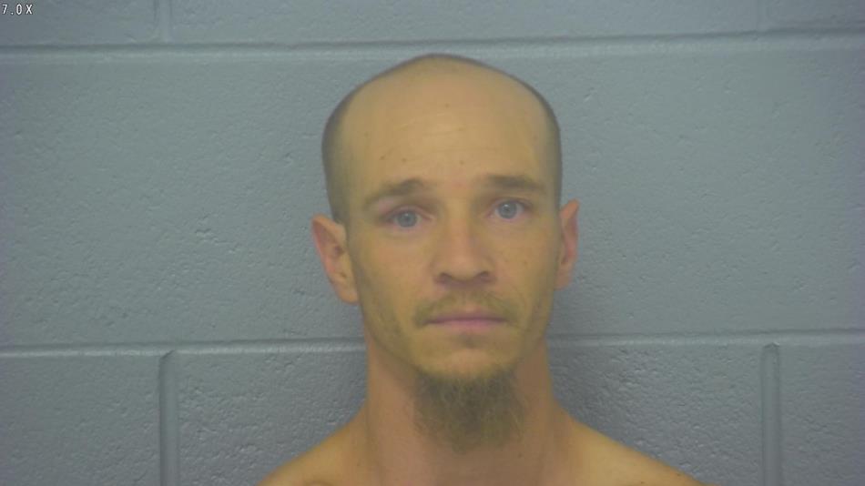 Arrest photo of DANIEL  HORTON