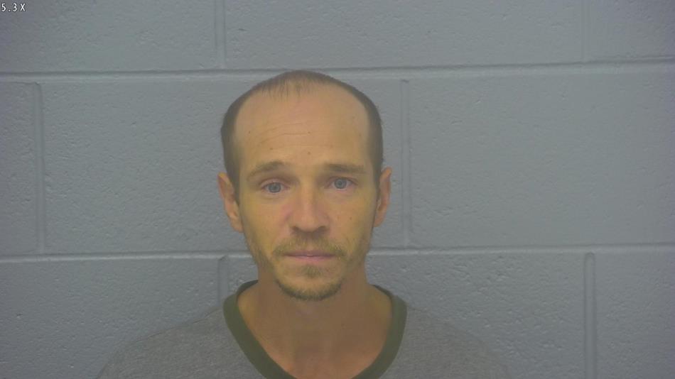 Arrest photo of DANIEL  HORTON