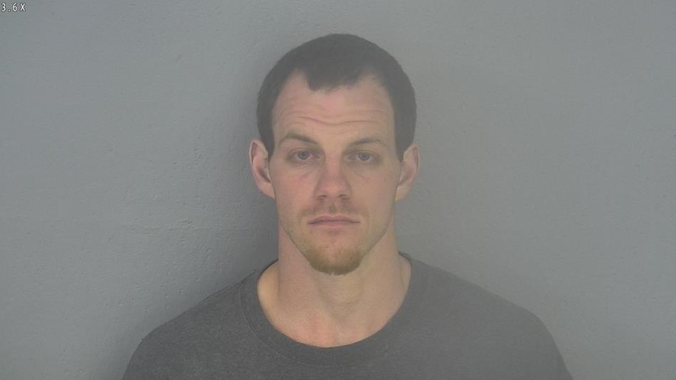 Arrest photo of DANIEL PETERSON