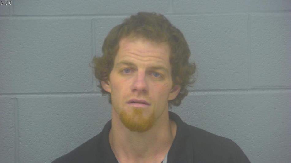 Arrest photo of DANIEL PETERSON