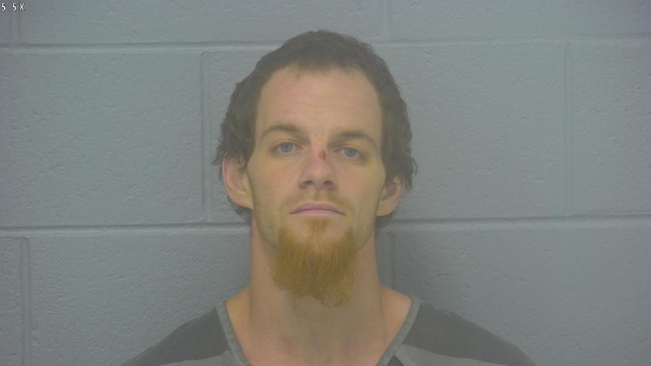 Arrest photo of DANIEL PETERSON