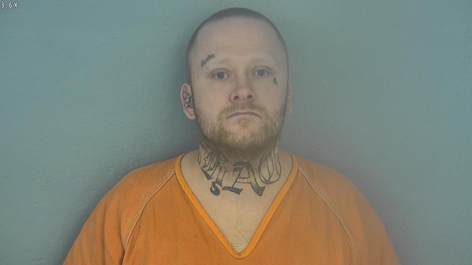 Arrest photo of DANIEL BRADFORD