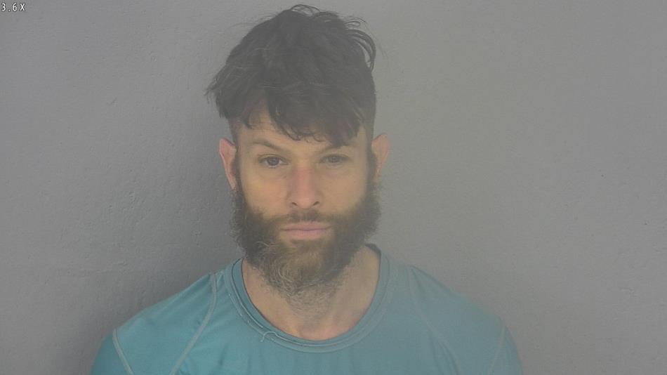 Arrest photo of DANIEL HAWKINS
