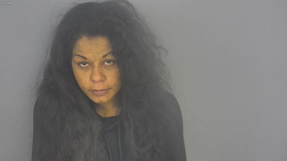 Arrest photo of DANIELLE LITTLE