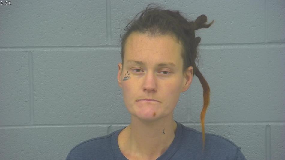 Arrest photo of DANIELLE RILEY