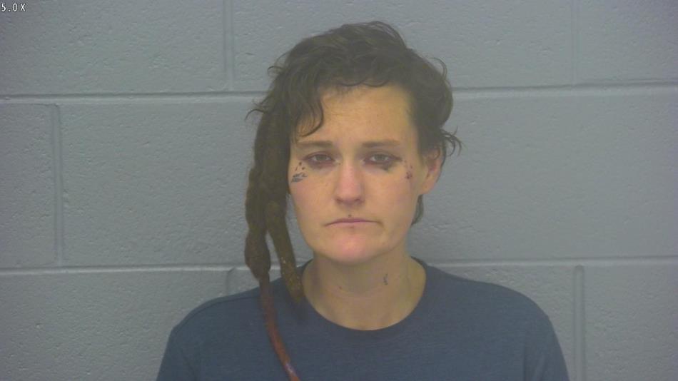 Arrest photo of DANIELLE RILEY