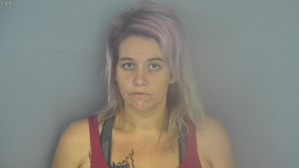 Arrest photo of DANIELLE LOYD