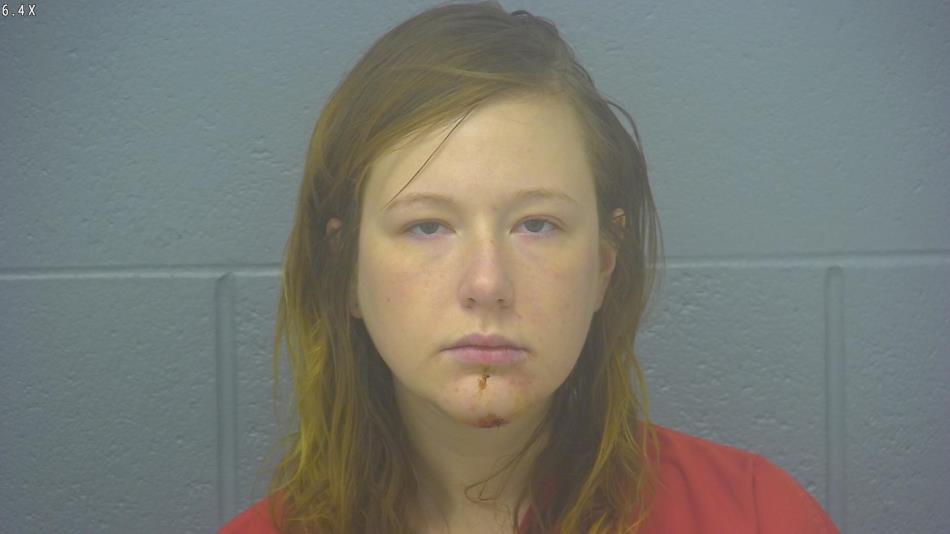 Arrest photo of DANIELLE HELMERS