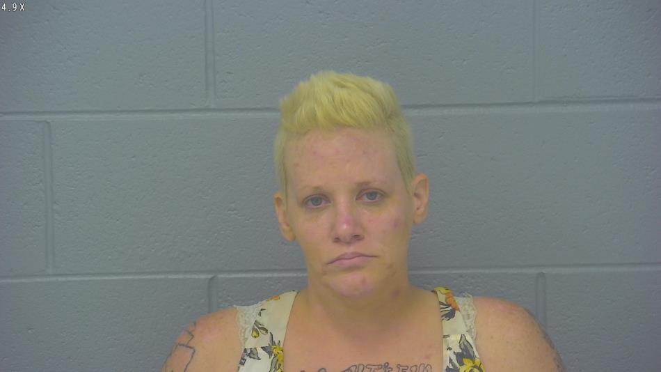 Arrest photo of DANIELLE WELSH