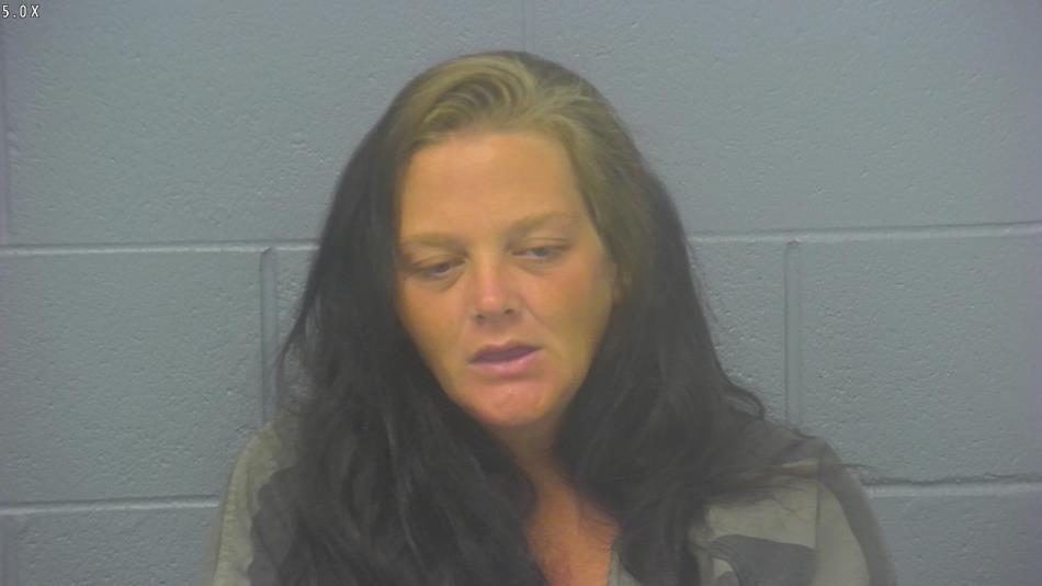 Arrest photo of DANIELLE NICKELSON