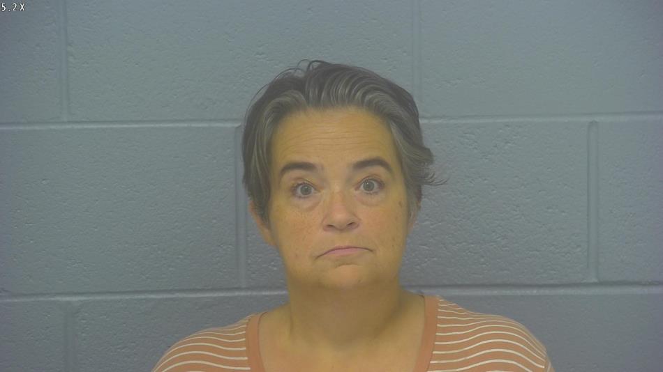 Arrest Photo of DANIELLE BOWSER, arrested on 6/25/2024