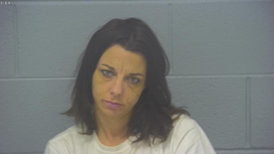 Arrest photo of DANIELLE WALKER