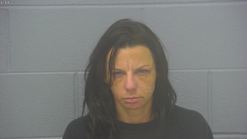 Arrest photo of DANIELLE WALKER