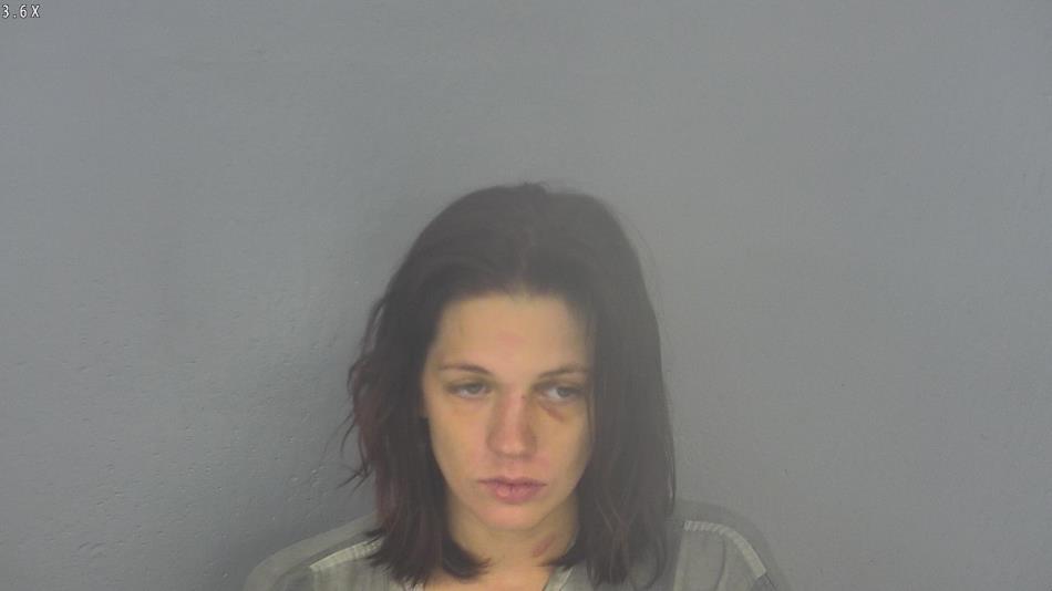 Arrest photo of DANILLE RUSSELL