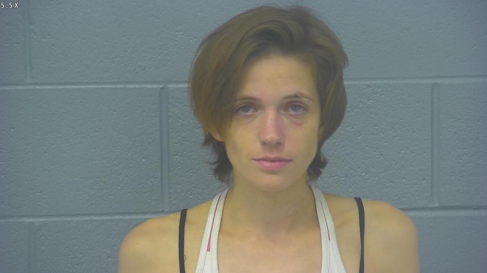 Arrest photo of DANILLE RUSSELL