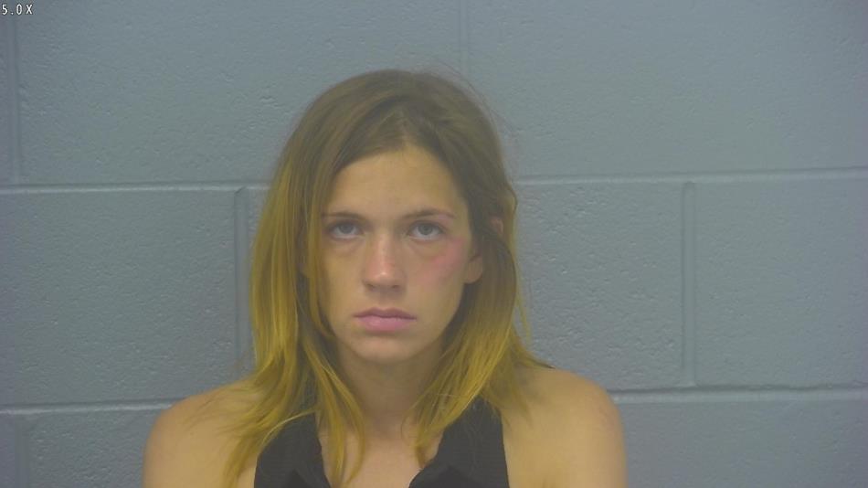 Arrest photo of DANILLE RUSSELL