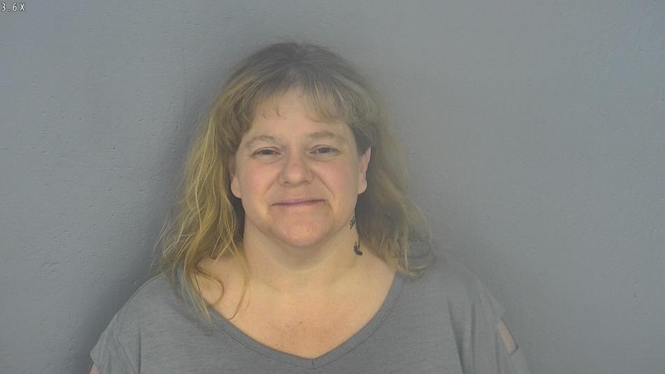 Arrest photo of DANITA HAVENS-JACKSON