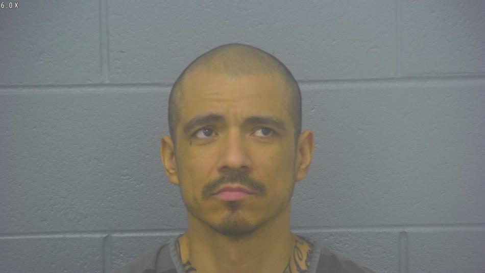 Arrest photo of DANNY SEGURA