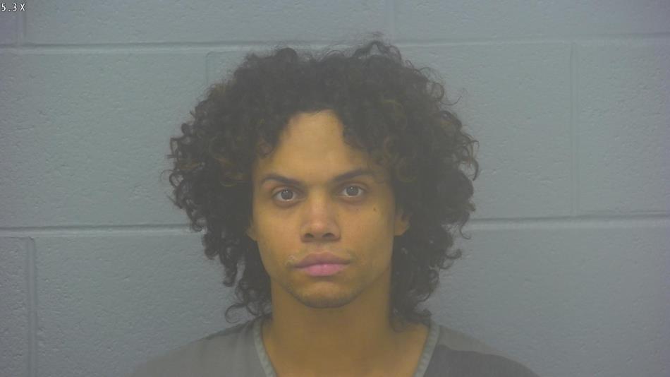 Arrest Photo of DANTE' MCDONOUGH, arrested on 11/25/2024