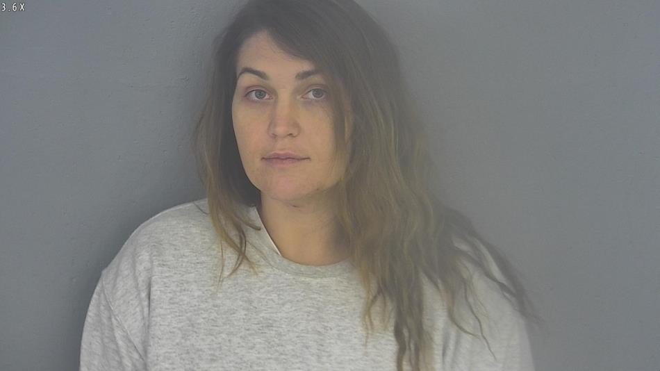 Arrest photo of DANYA SCHAFER