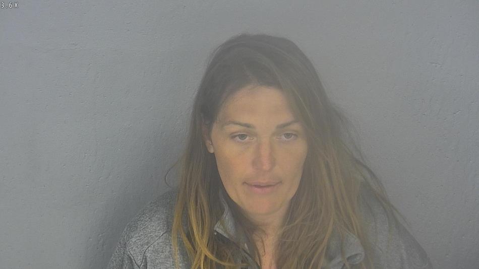 Arrest photo of DANYA SCHAFER
