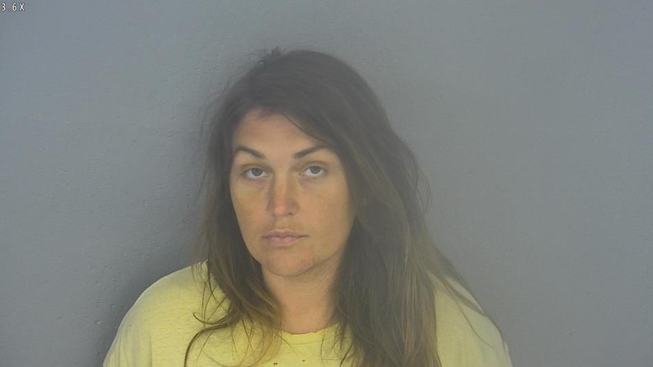 Arrest photo of DANYA SCHAFER