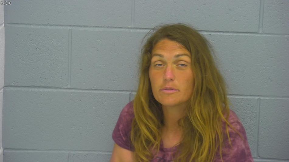 Arrest photo of DANYA SCHAFER