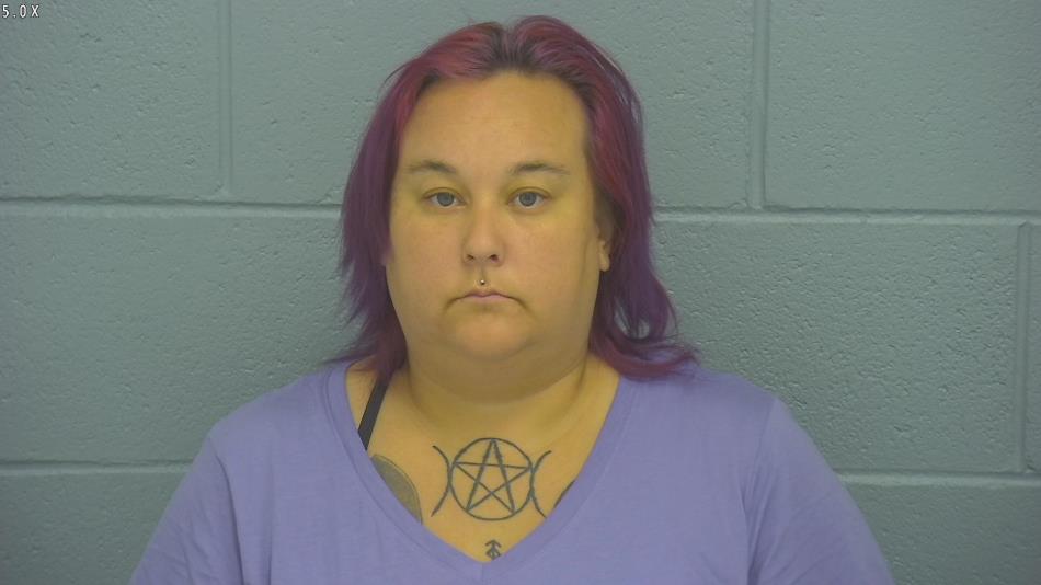 Arrest photo of DANYELL LOPEZ