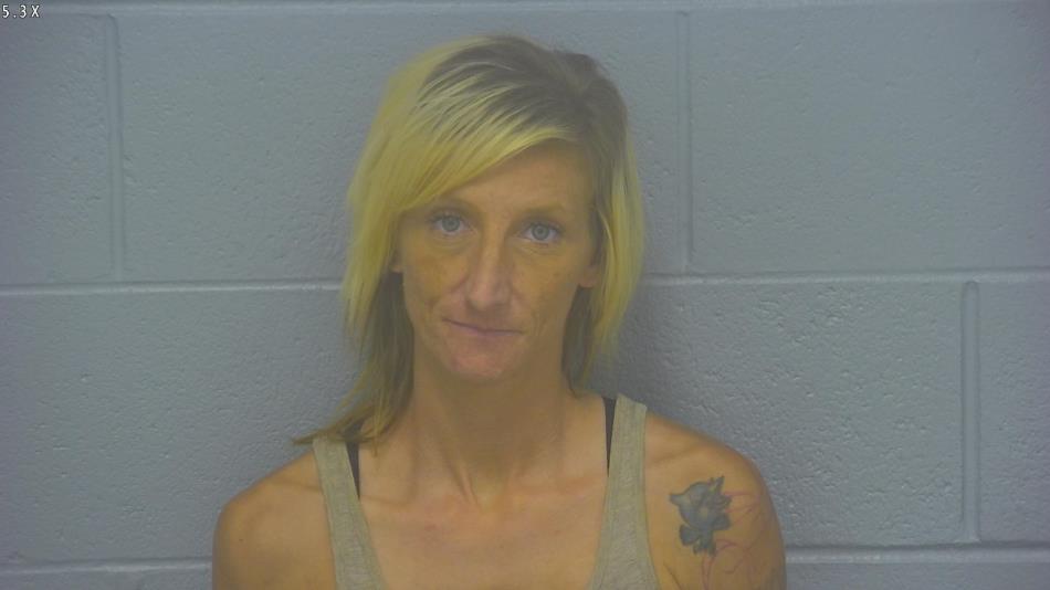 Arrest Photo of DARCY VESTAL, arrested on 6/17/2024